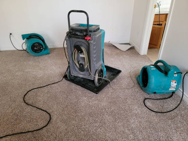 Best Emergency water damage restoration  in Glenview, IL