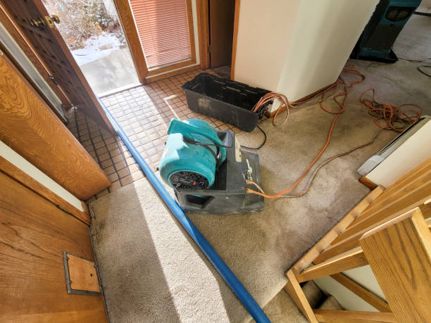 Water damage restoration experts in Glenview, IL