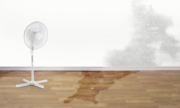 Trusted Glenview, IL Water damage restoration Experts