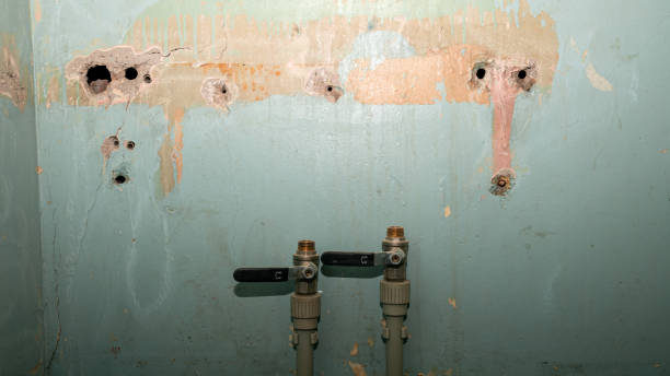 Trusted Glenview, IL Water damage restoration Experts