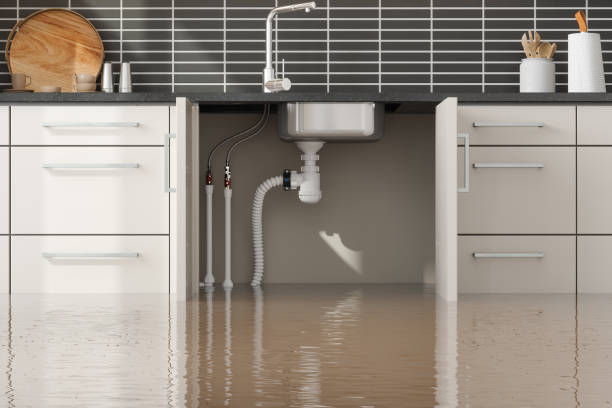 Best Mold removal after water damage  in Glenview, IL