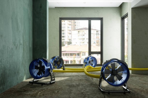 Best Commercial water damage restoration  in Glenview, IL